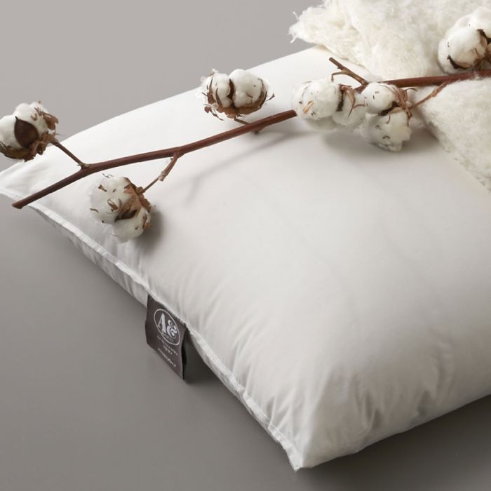 GUANCIALE BIOCOTTON IN PURO COTONE DEMAFLEX main product photo